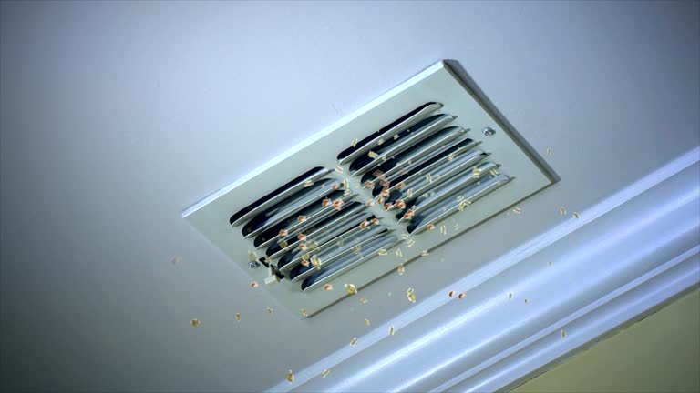 Best Home Air Vent Cleaning  in Miamisburg, OH
